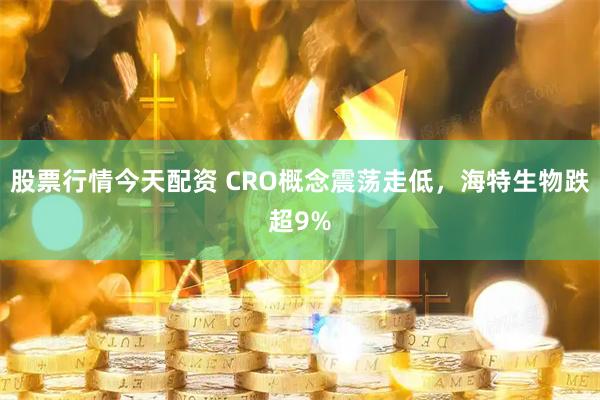 股票行情今天配资 CRO概念震荡走低，海特生物跌超9%