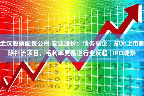 武汉股票配资公司 安达股份：债务高企，却为上市删除补流项目，毛利率更是逆行业反超 | IPO观察